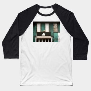 The Homing Dove Baseball T-Shirt